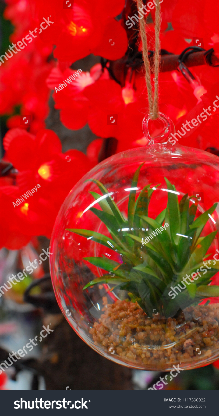 Artificial Grass Glass Sphere Tanaman Hias Stock Photo Edit Now