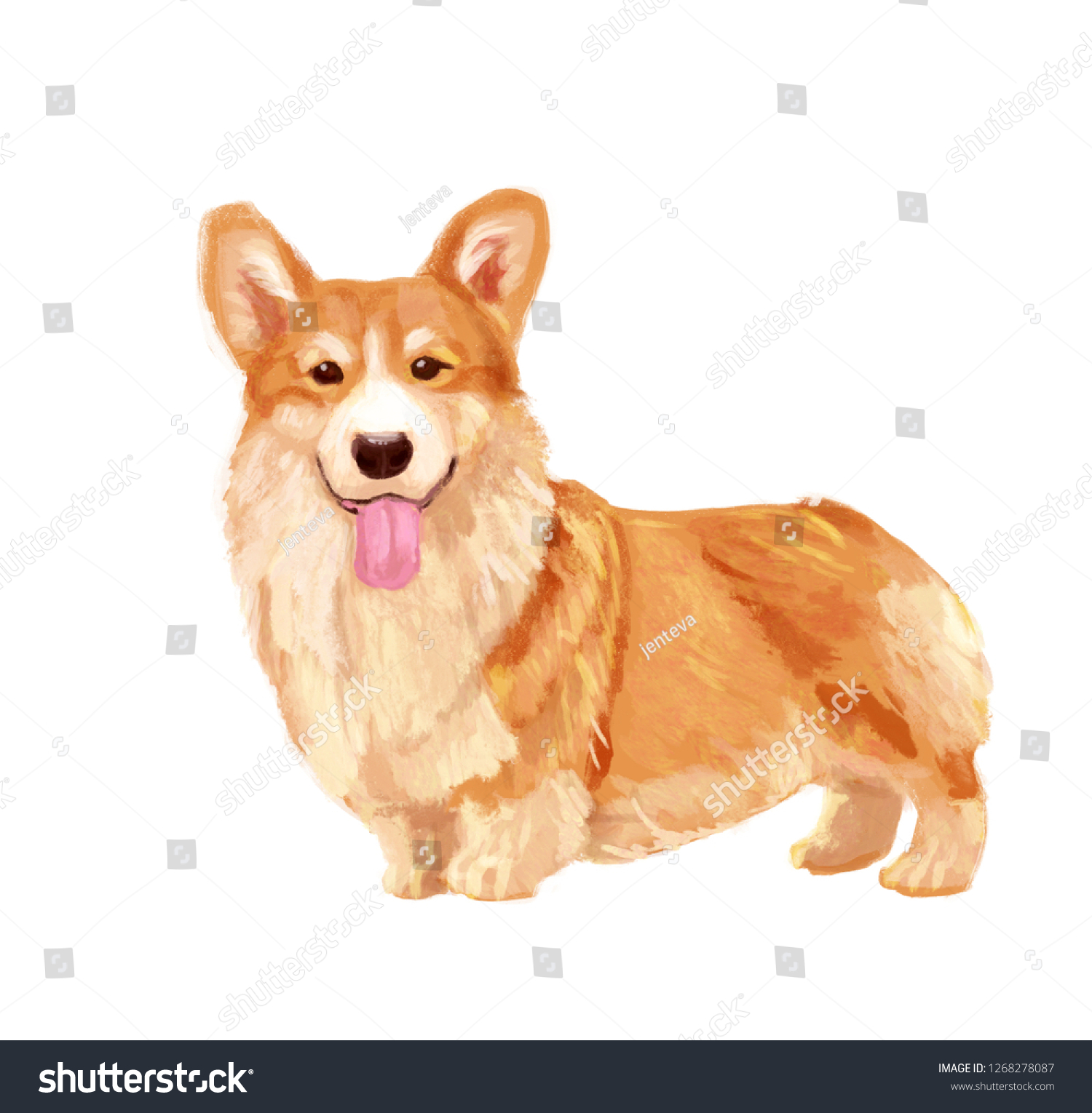 Artistic Drawing Welsh Corgi Digital Art Stock Illustration 1268278087