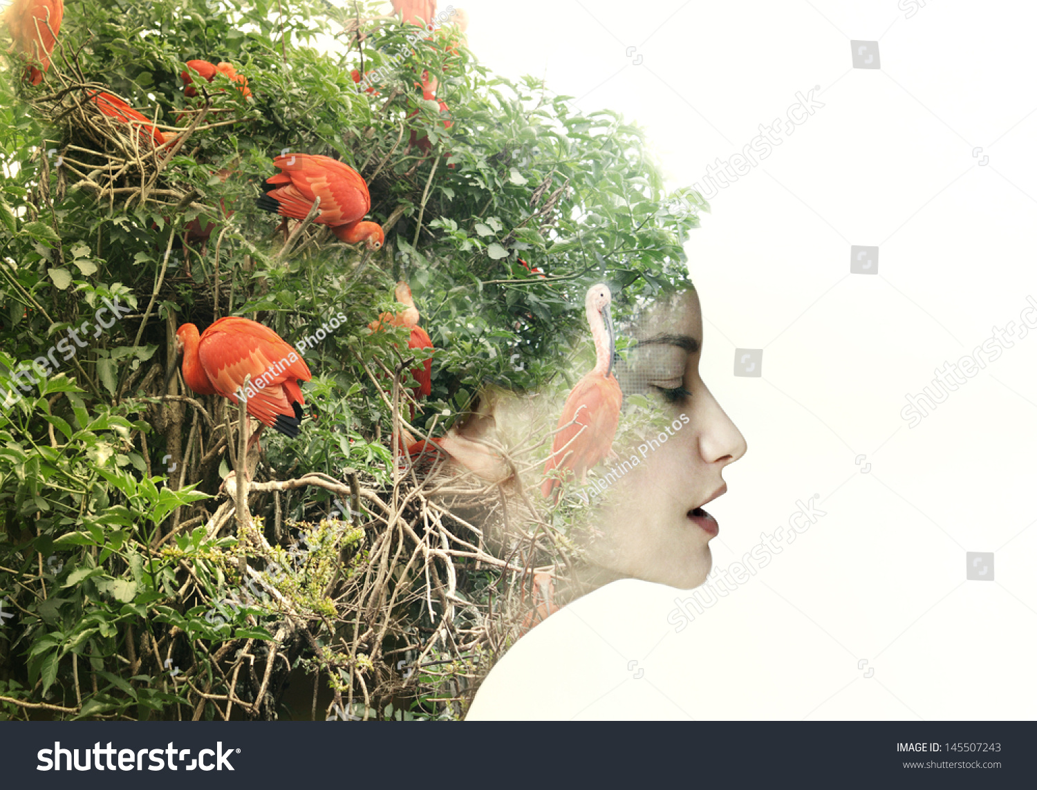 Artistic Surreal Female Profile In A Metamorphosis With Nature Stock ...