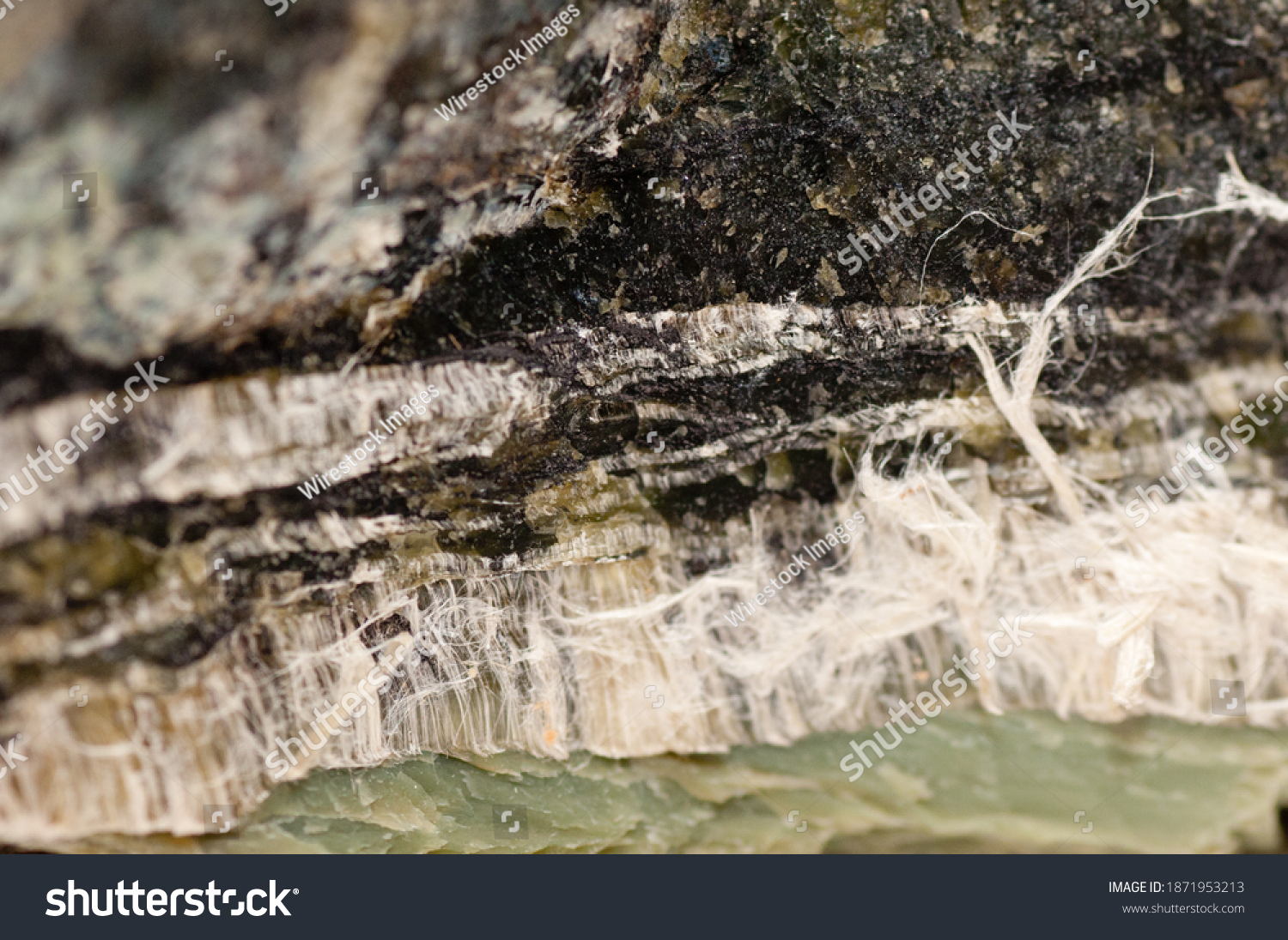 Asbestos Chrysotile Fibers That Cause Lung Stock Photo 1871953213 ...