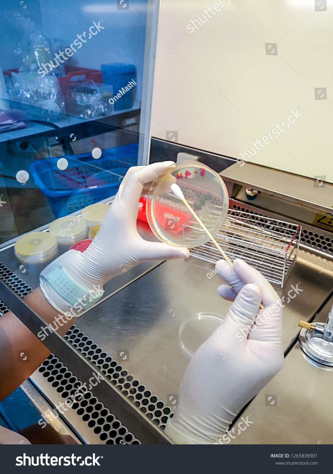 Aseptic Technique Microbiology Stock Photo Edit Now 1265838901