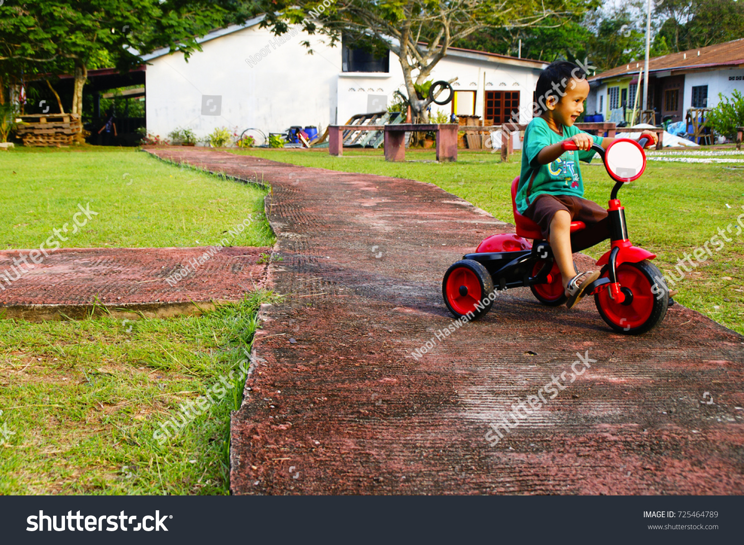 swan tricycle