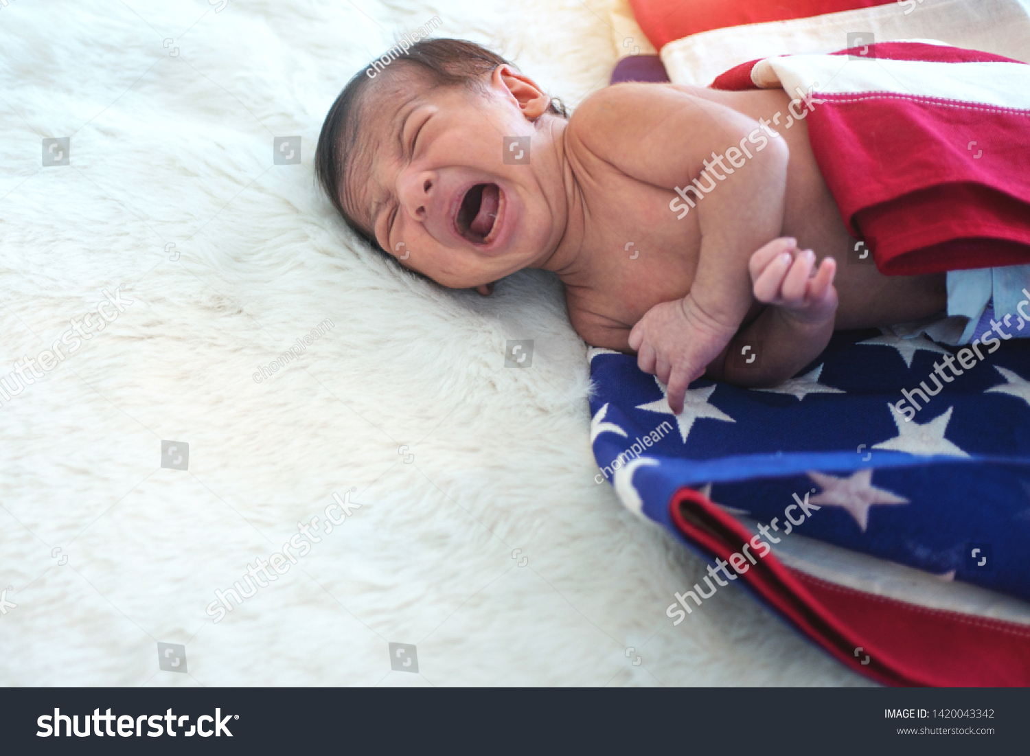 4th of july newborn photos