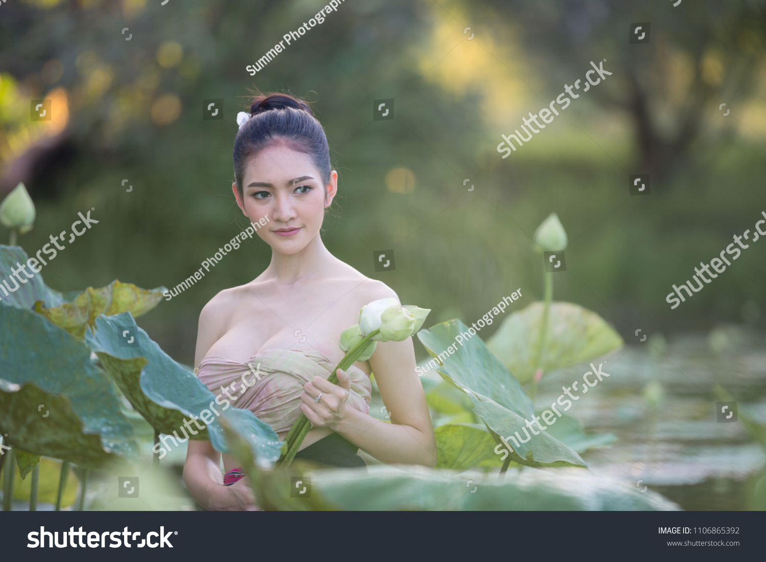 Asian Woman Harvest Lotus Flower In The Garden Foto De Stock 1106865392 Shutterstock 8565