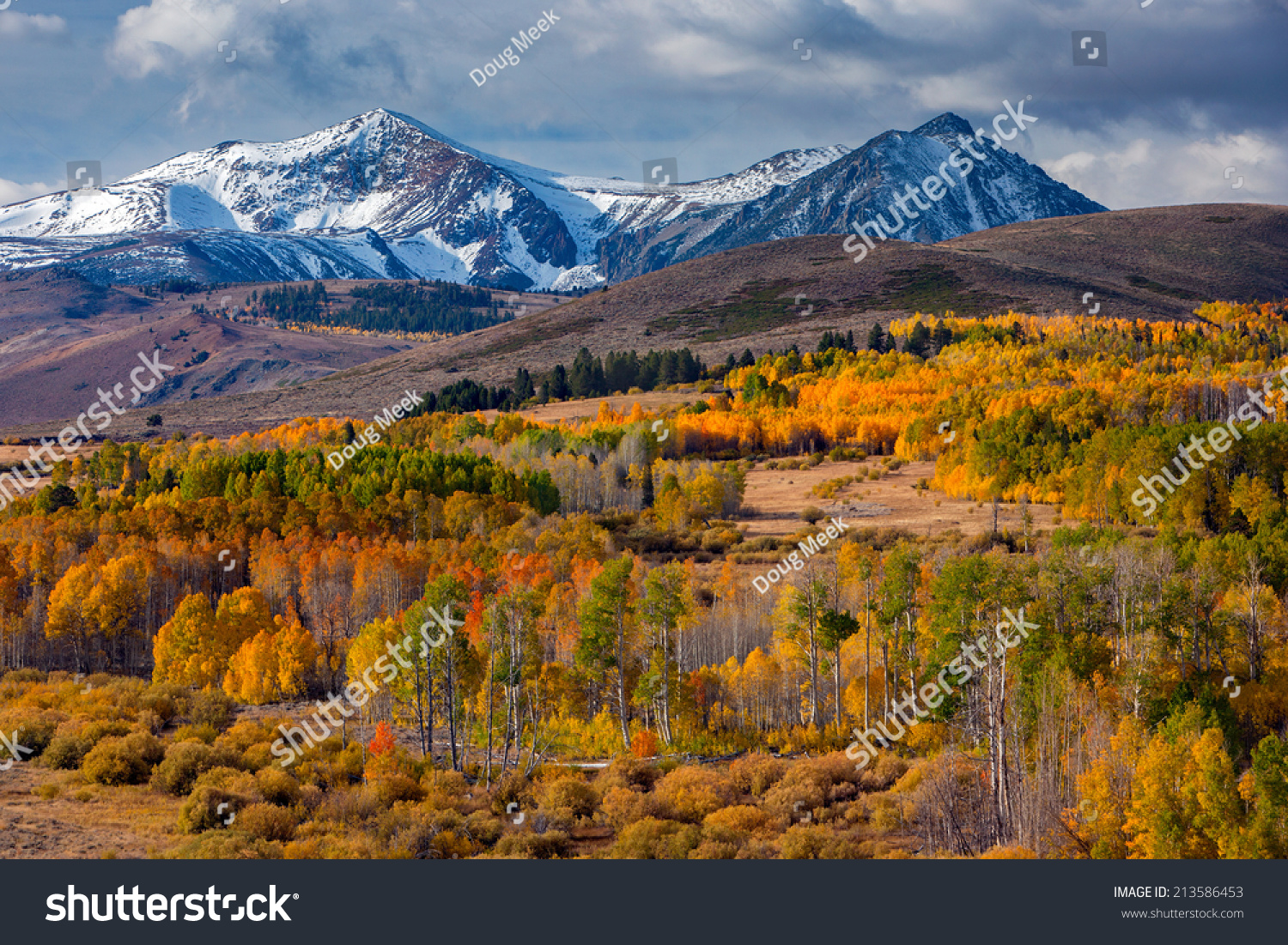 Aspen Fall Colors On Conway Summit Stock Photo (Edit Now) 213586453