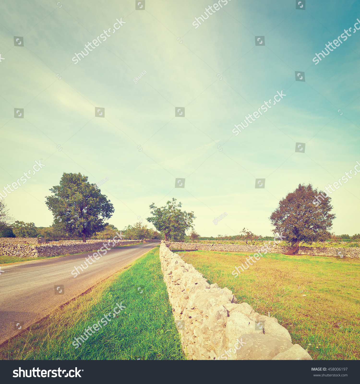 Asphalt Road Along Pasture Divided Into Stock Photo 458006197