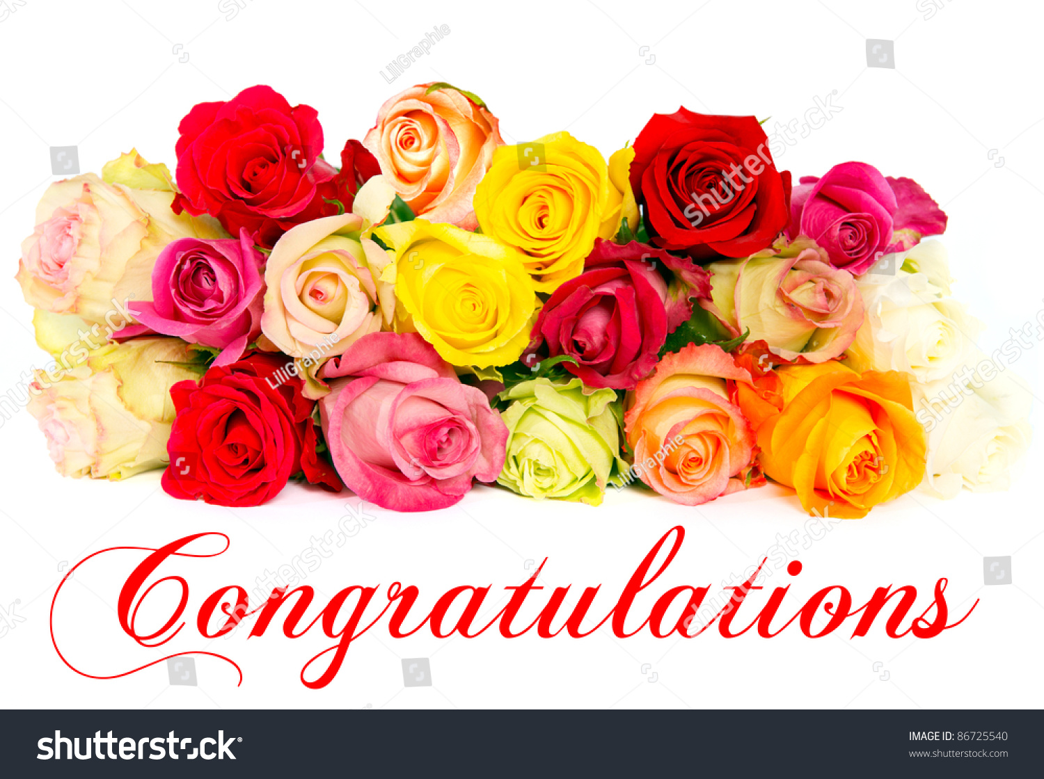 stock photo assorted colorful roses beautiful flowers bouquet congratulations card concept 86725540