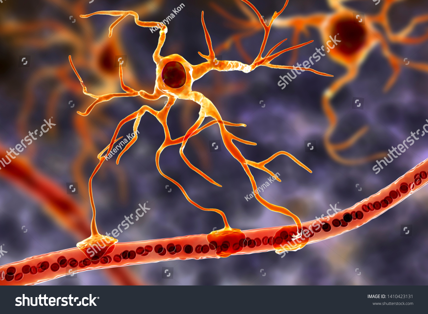 308 Astrocyte Images, Stock Photos & Vectors 