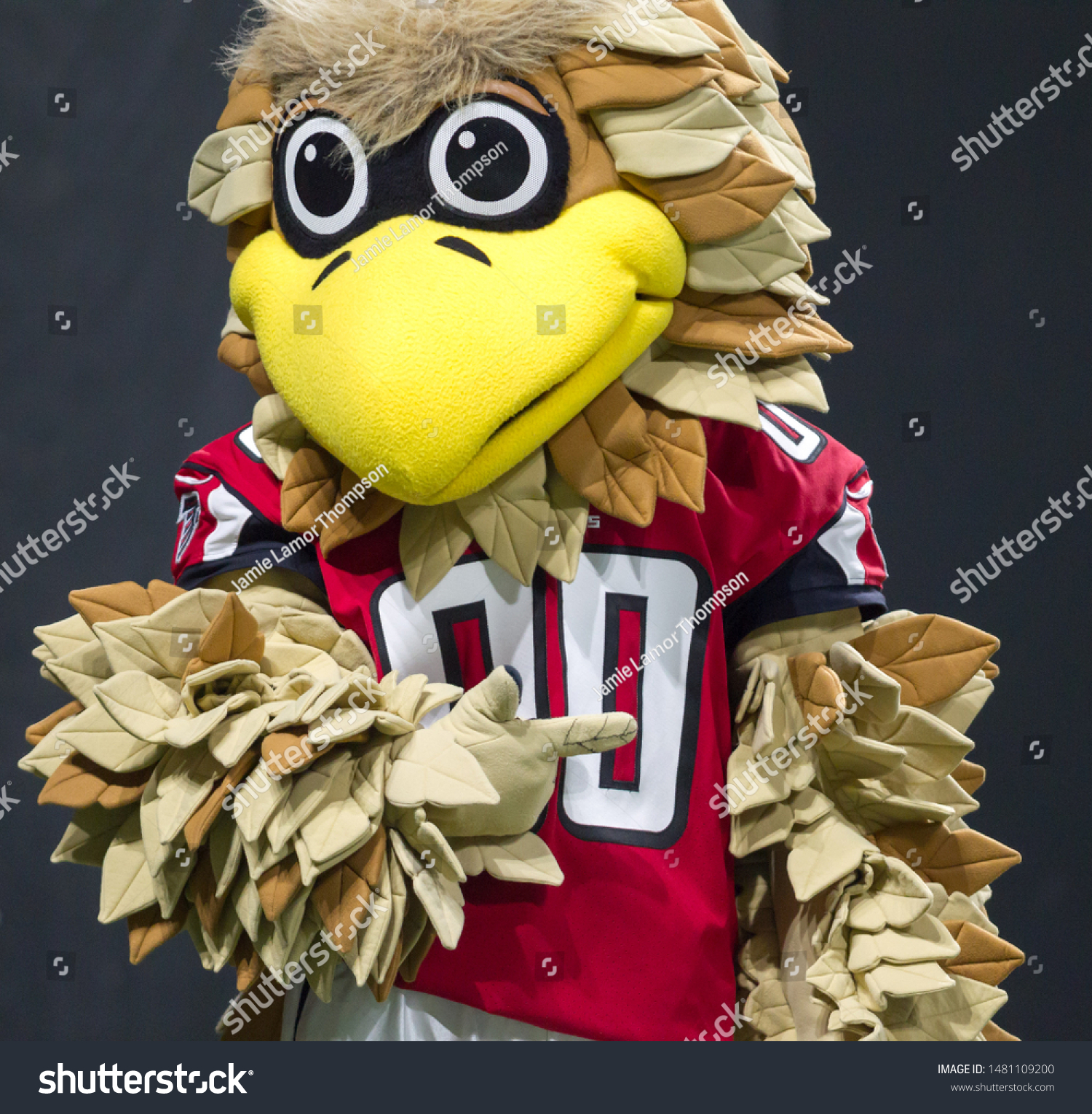 Atlanta Falcon Mascot Week 3 2019 Stock Photo (Edit Now 