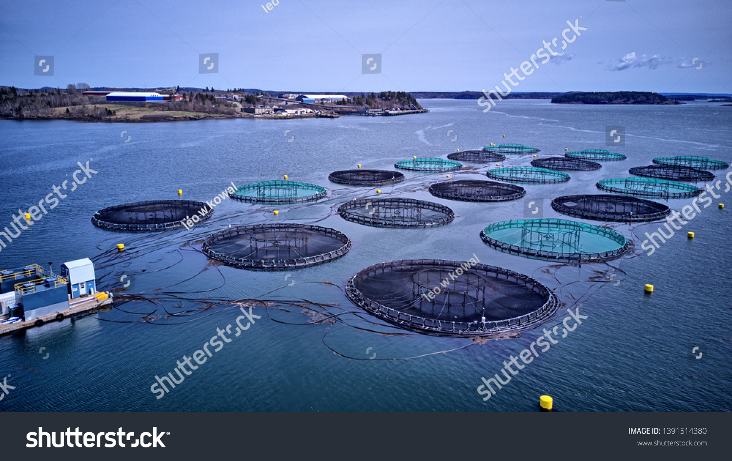 Atlantic Salmon Aquaculture Cage Site Stock Photo 1391514380 | Shutterstock