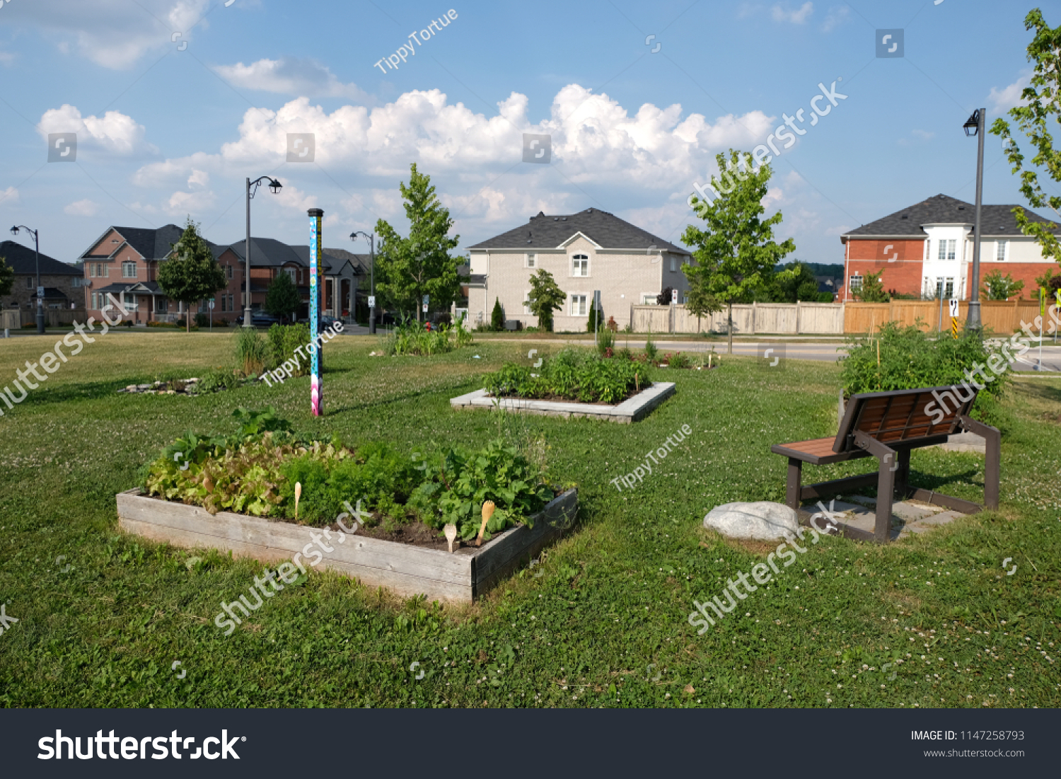 1 Edible Schoolyard Project Images, Stock Photos & Vectors | Shutterstock