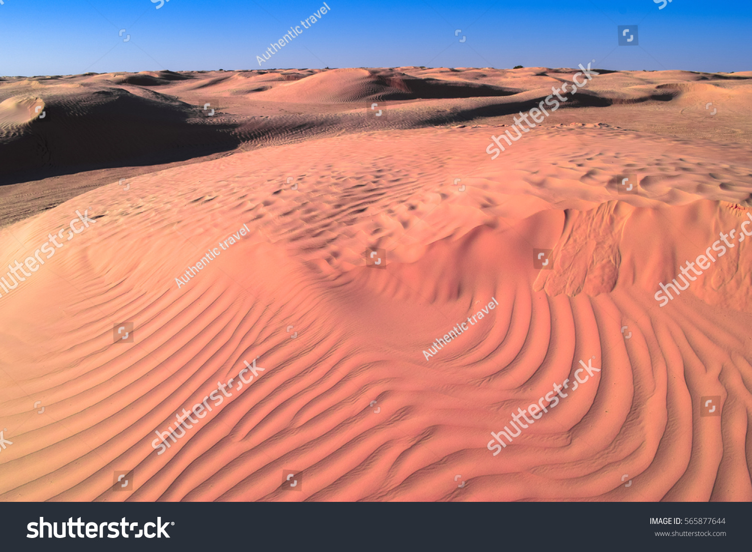 Authentic Desert Under Hot Sun Landscape Stock Photo (Edit Now) 565877644