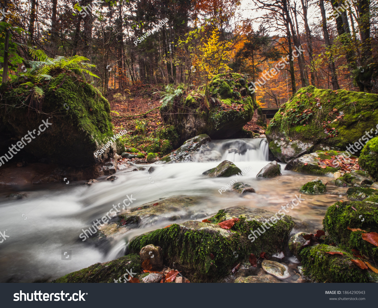 Autumn Colours Mystical Forest Small Torrent Stock Photo Edit Now 1864290943