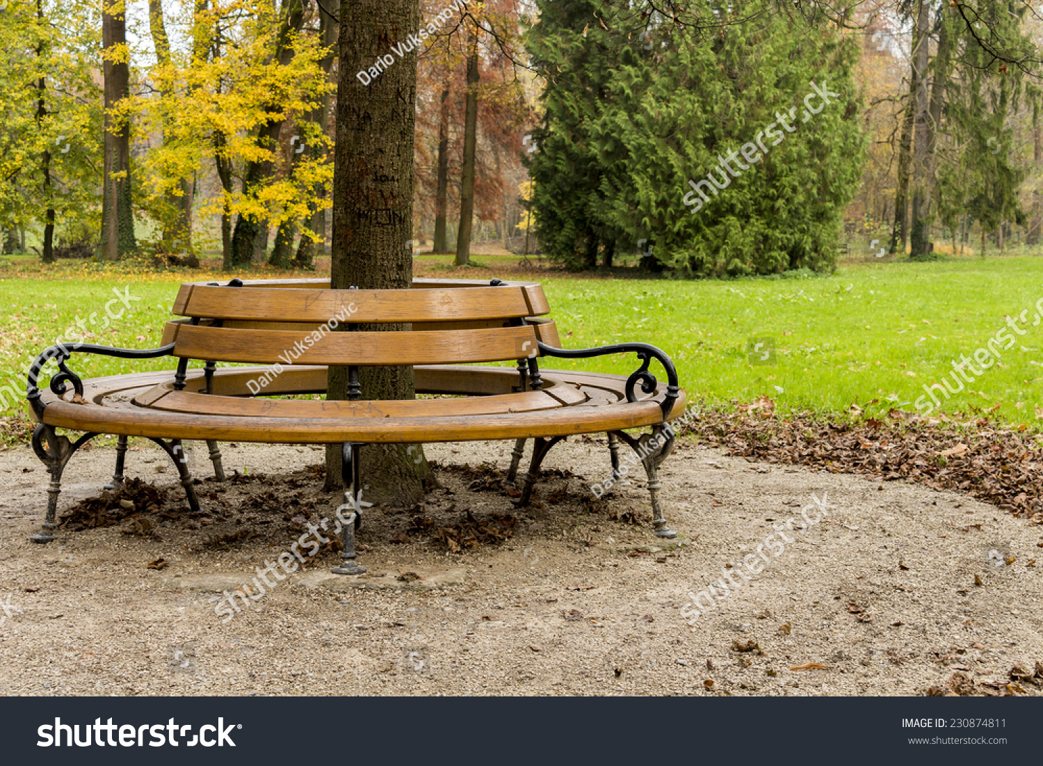 Autumn Maksimir Park Bench Around Tree Stock Photo Edit Now