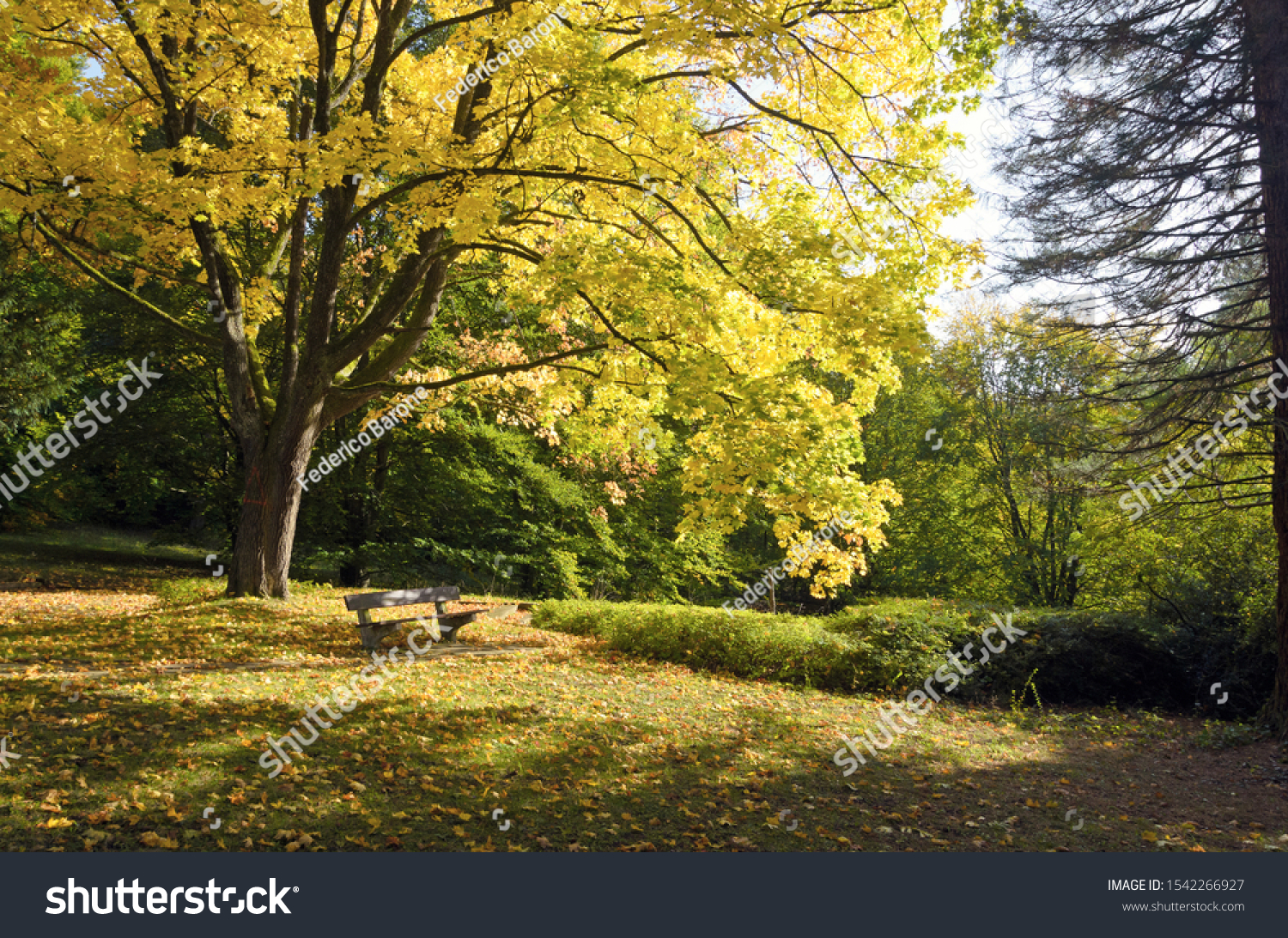 stock-photo-autumn-in-park-bench-with-ye
