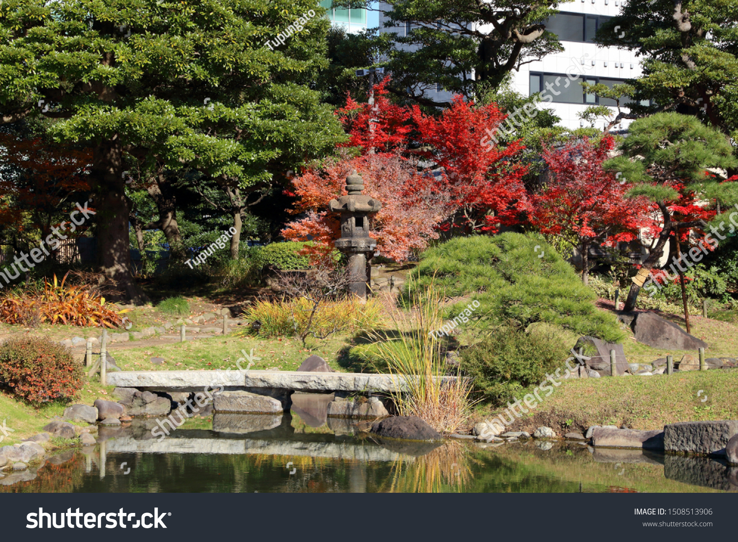 Autumn Tokyo Japanese Garden Autumn Colors Stock Photo Edit Now