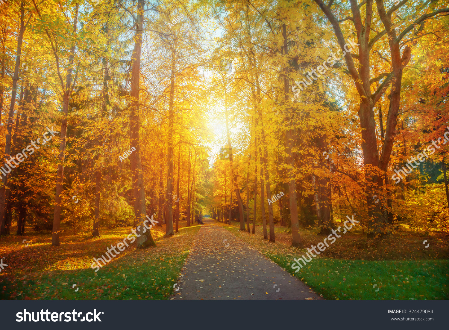 Autumn Landscape Stock Photo 324479084 : Shutterstock