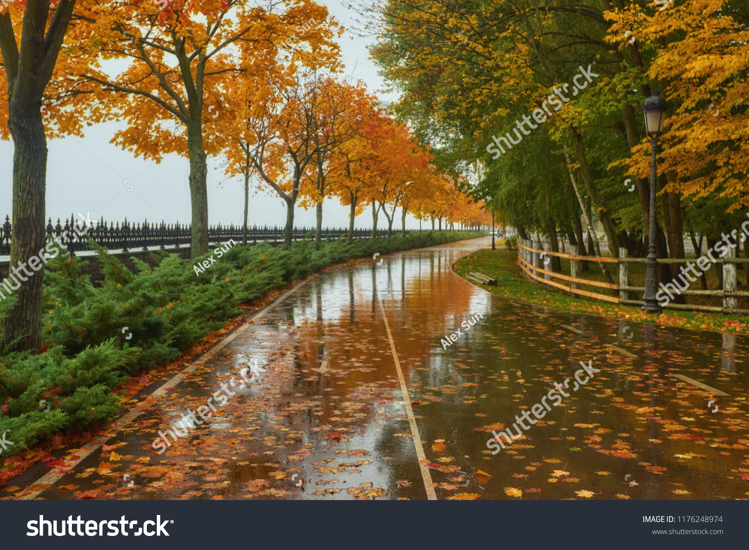 10月の公園 雨の背景に秋の風景の雨のテクスチャー 悪い天気に歩く 水滴 風の強い天気 悪い天気 悲しい気分 の写真素材 今すぐ編集