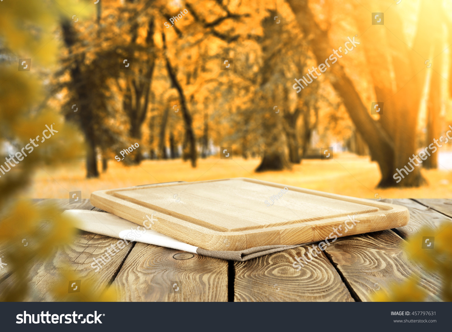 autumn-sunset-time-park-old-trees-stock-photo-457797631-shutterstock