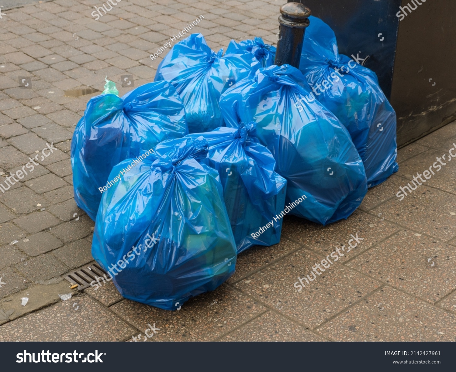 green rubbish bolsas rodney