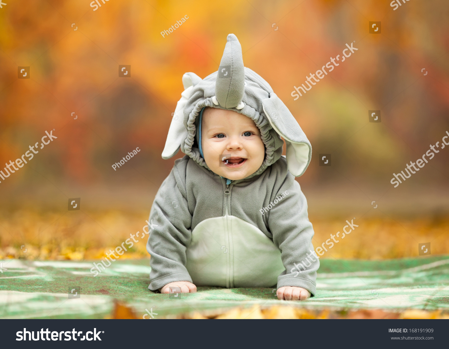 Baby Boy Dressed Elephant Costume Autumn Stock Photo Edit Now 168191909