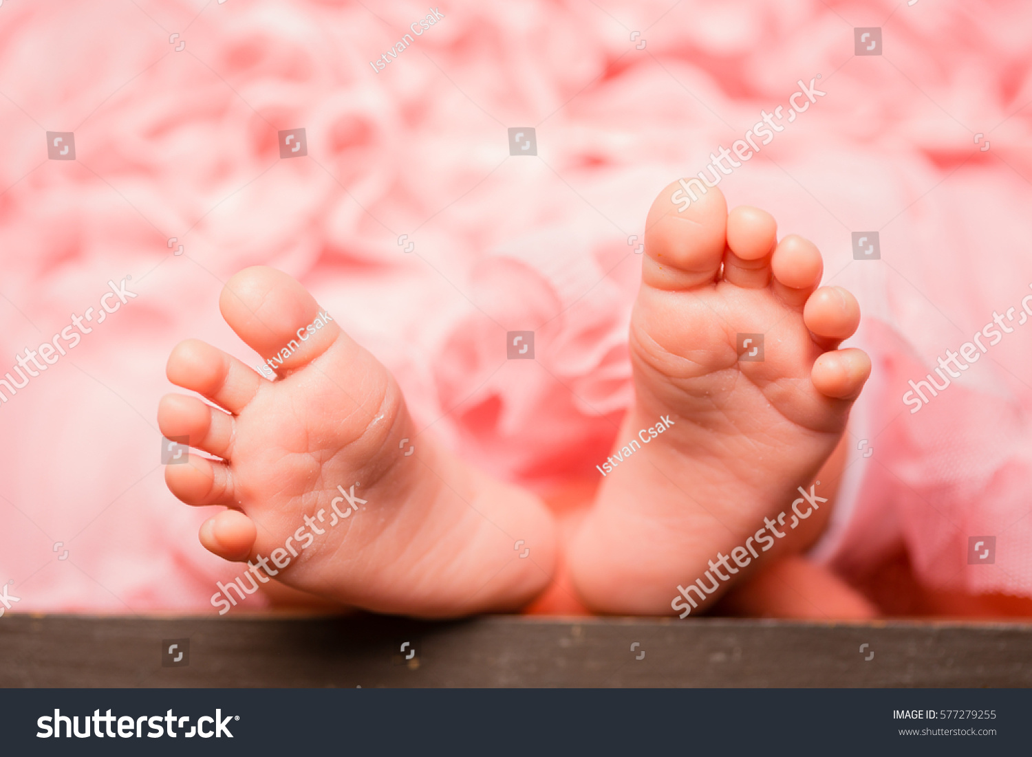 Newporn Images Stock Photos Vectors Shutterstock Newporn Images Stock Photos Vectors Shutterstock