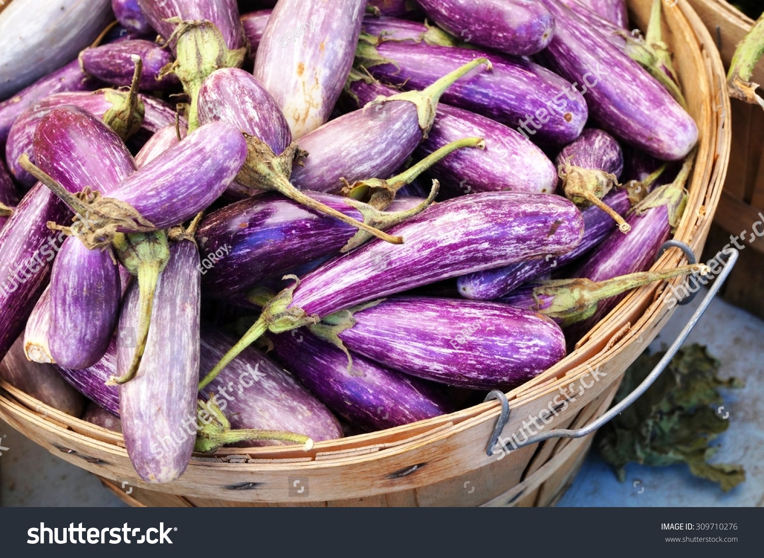 Baby Purple White Graffiti Eggplant Food And Drink Stock Image 309710276