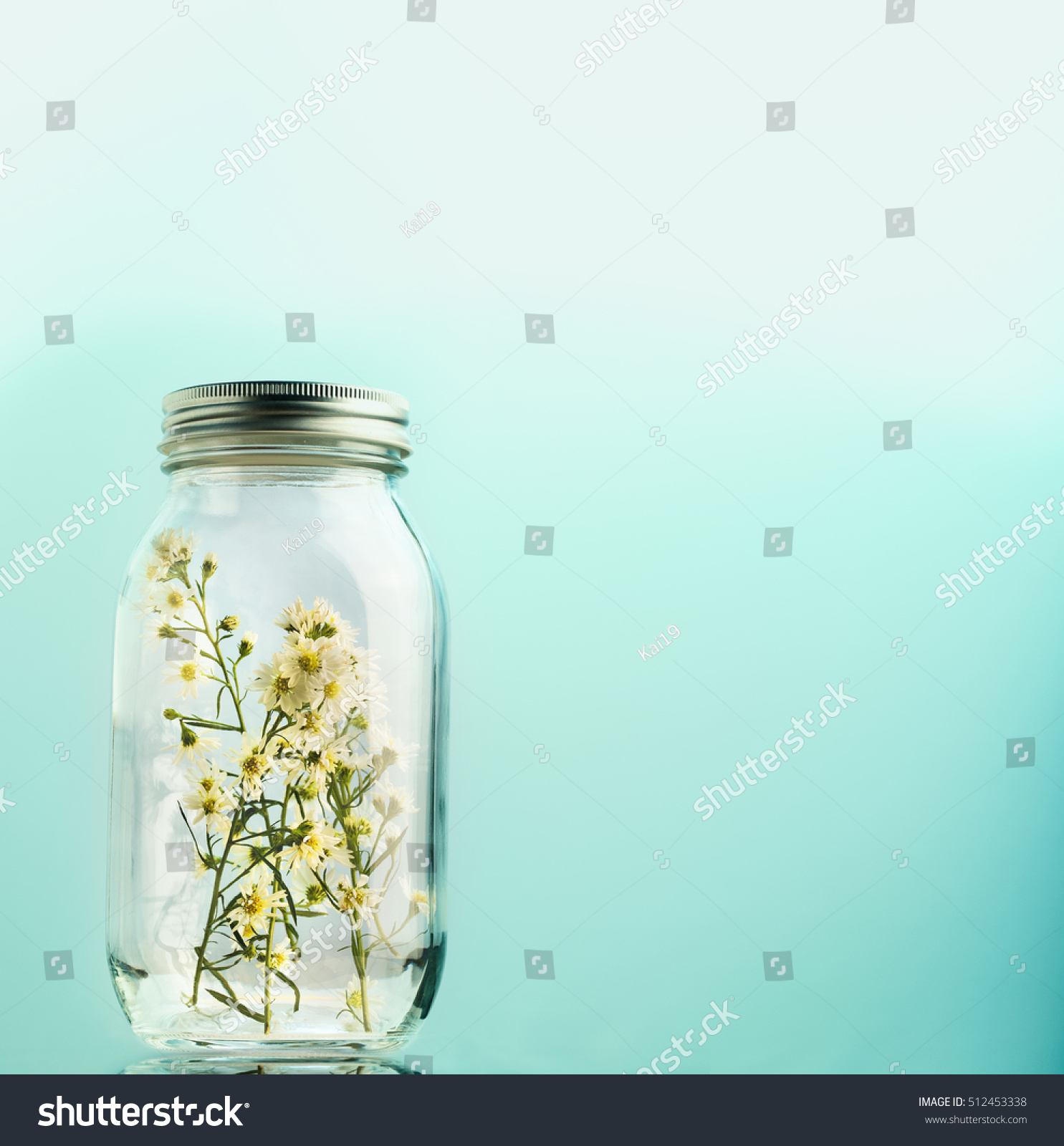 Babys Breath Flower Glass Jar Gypsophila Stock Photo (Edit Now