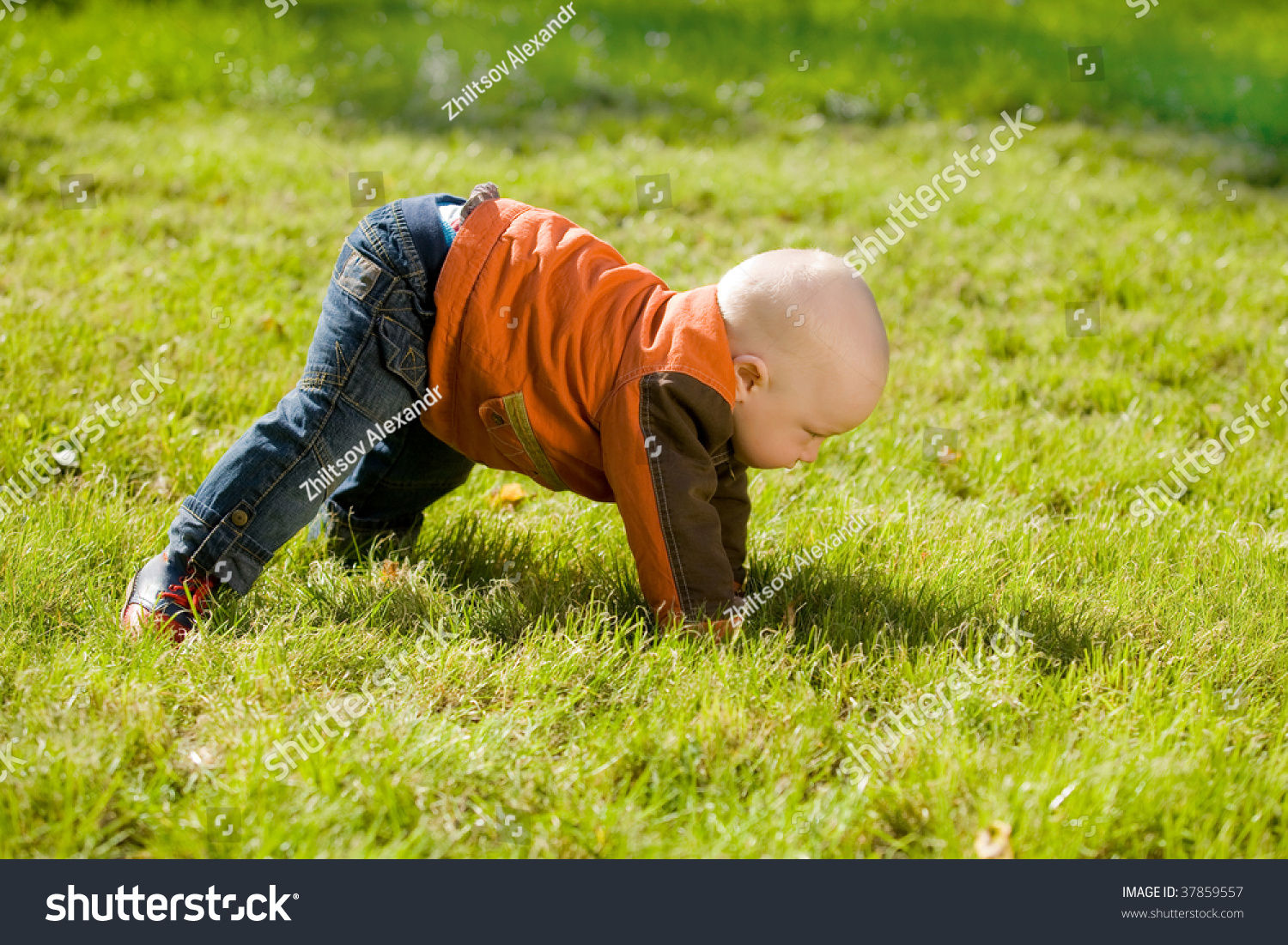 Baby Try Stand Walk Stock Photo 37859557 - Shutterstock