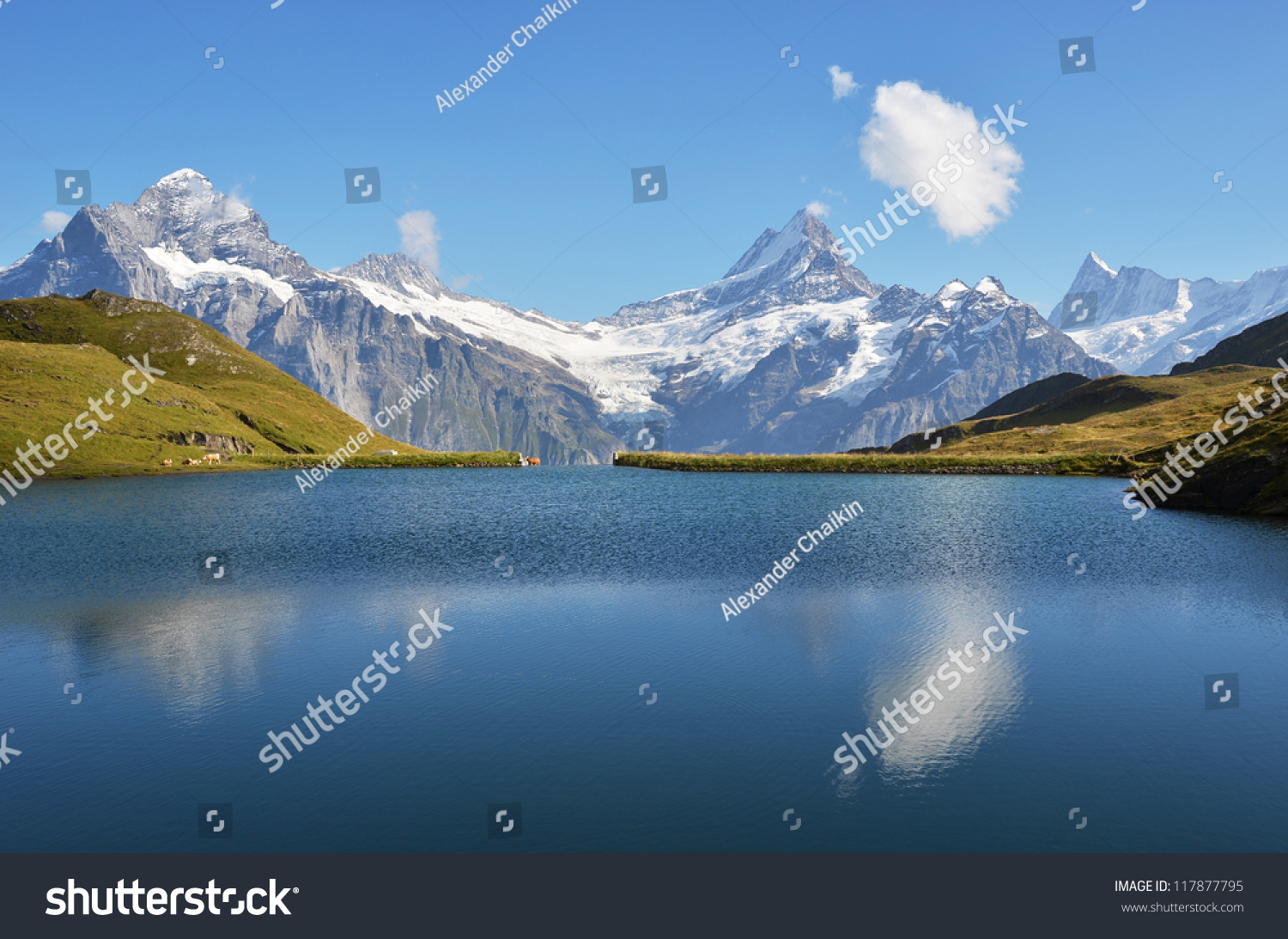 Bachalp Lake In Swiss Bernese Alps Stock Photo 117877795 : Shutterstock