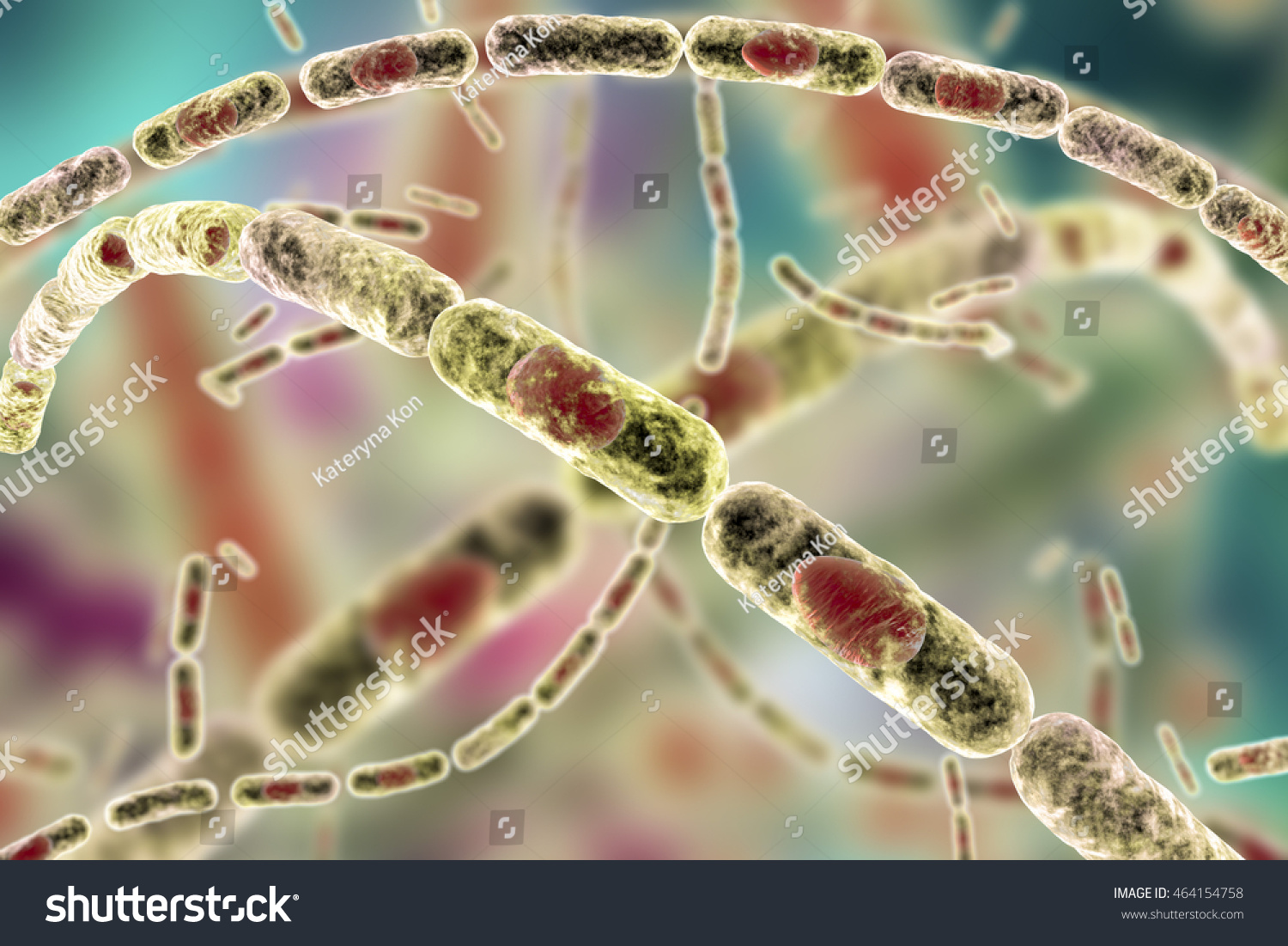 Bacillus Anthracis Grampositive Spore Forming Bacteria Stock ...