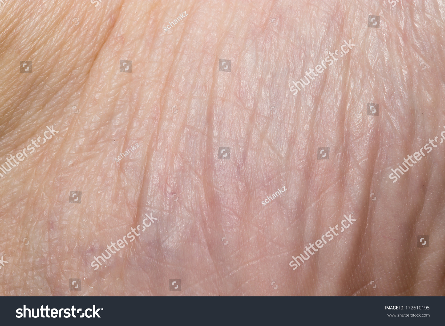 human skin macro picture stock photo 169 jugulator 25119063 background human skin macro stock photo 172610195 human skin macro picture stock photo 169 jugulator 25119063 background human skin macro stock photo 172610195