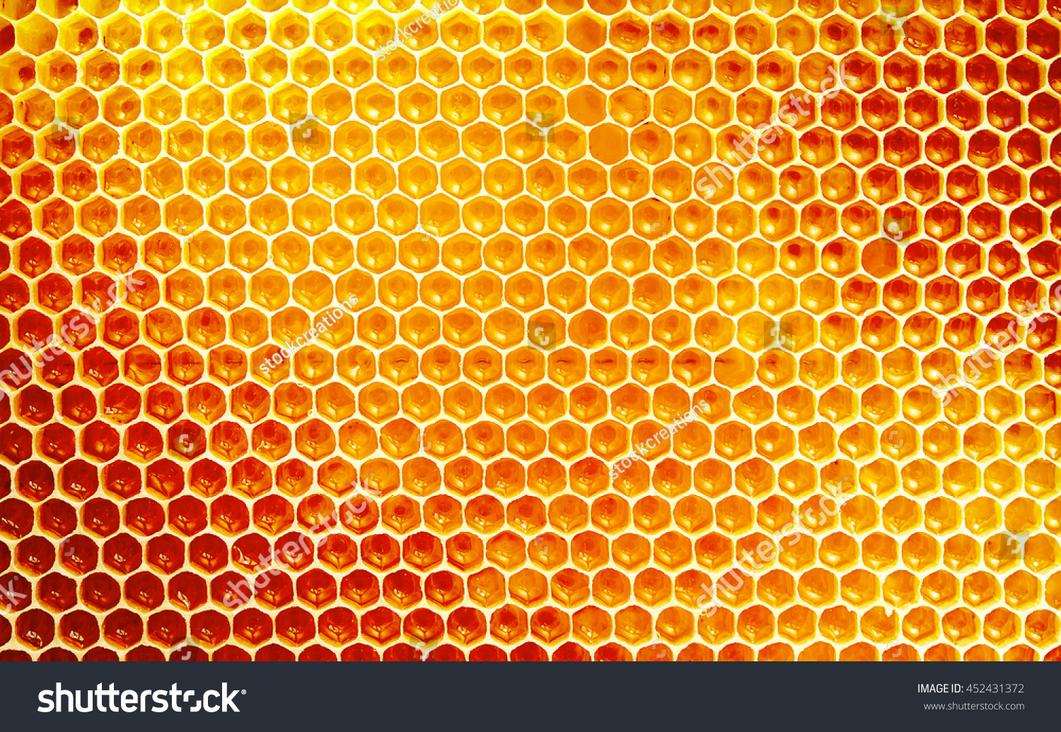 金色の蜂蜜を詰め込んだ蜂の巣からのワックスハニカムの部分の背景テクスチャーと模様 全枠表示 の写真素材 今すぐ編集