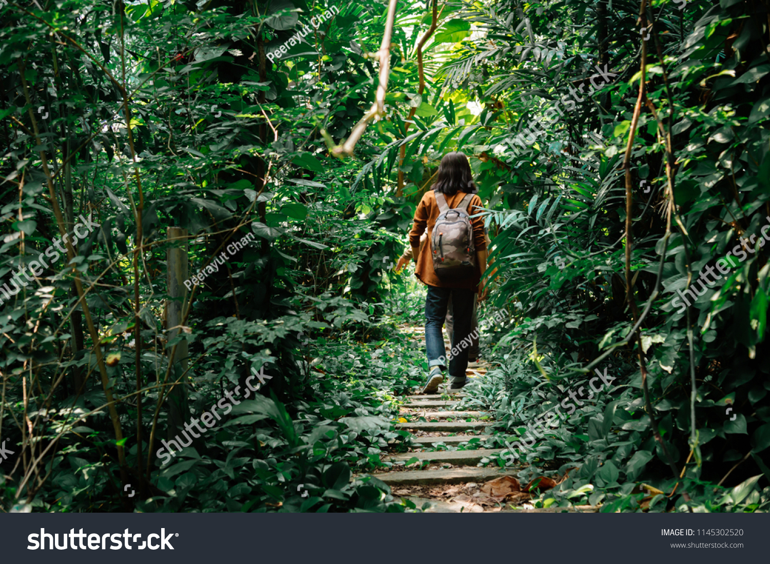 Backside Male Travelers Walking Through Jungle Stock Photo Edit