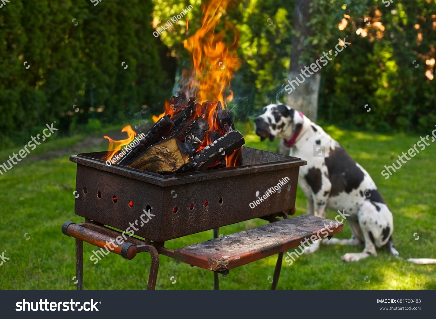 Backyard Barbecue Fire Burning Grill Green Stock Photo 681700483