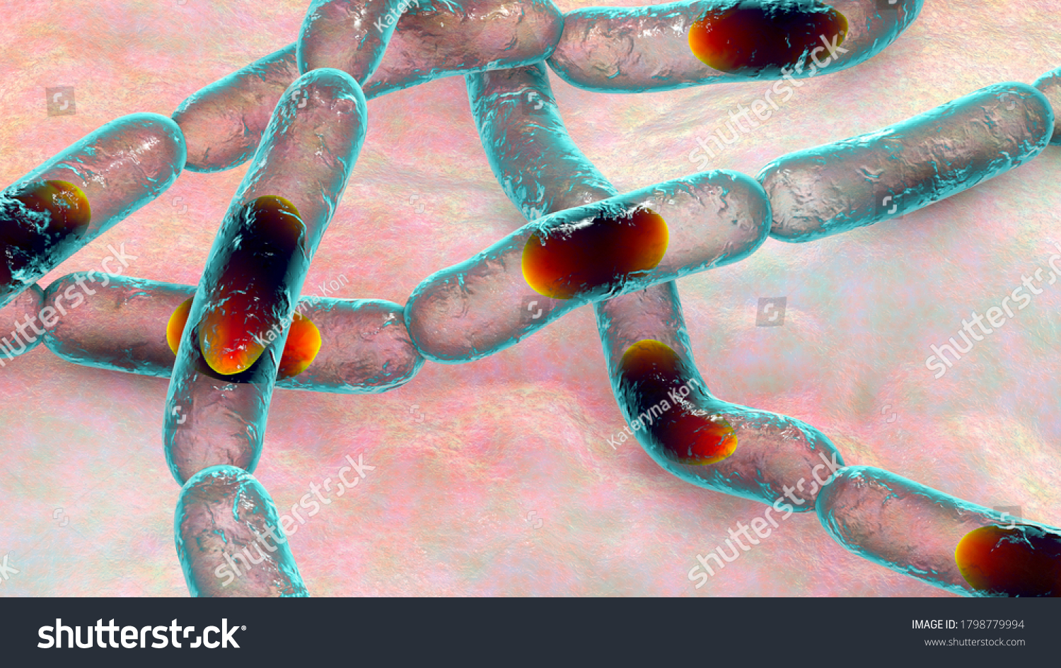 Thuringiensis Images, Stock Photos & Vectors 