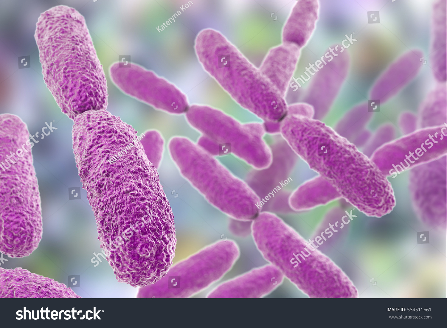 Klebsiella Images Photos Et Images Vectorielles De Stock Shutterstock 