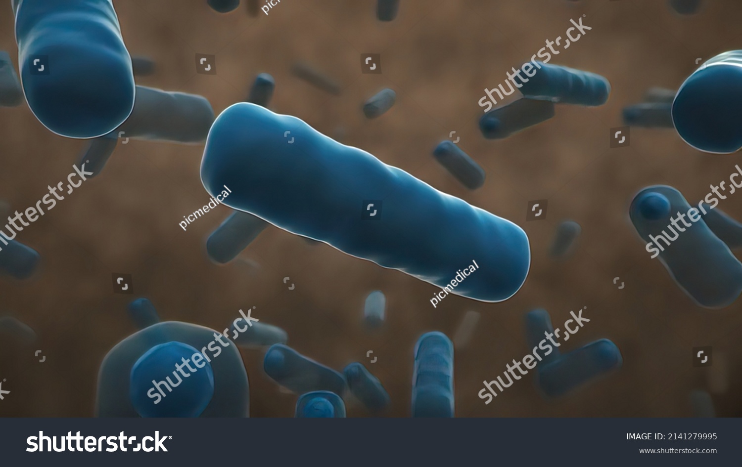 Bacteria Lactobacillus Human Intestine 3d Illustration Stock ...