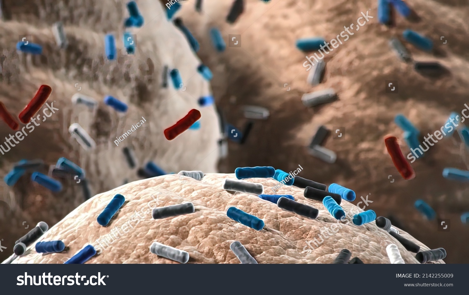 Bacteria Lactobacillus Human Intestine 3d Illustration Stock ...