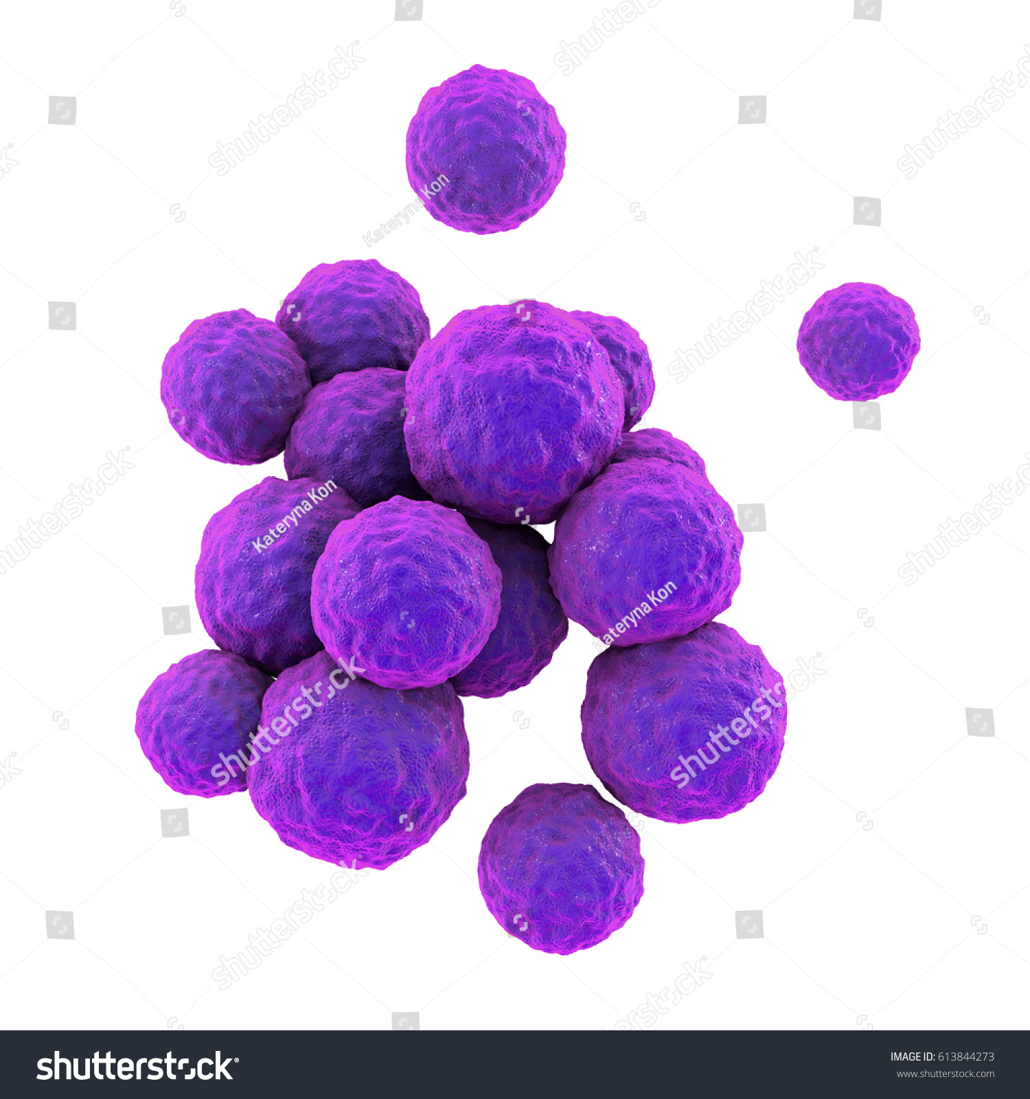 Bacteria Methicillinresistant Staphylococcus Aureus Mrsa Multidrug Stock Illustration 613844273 4325