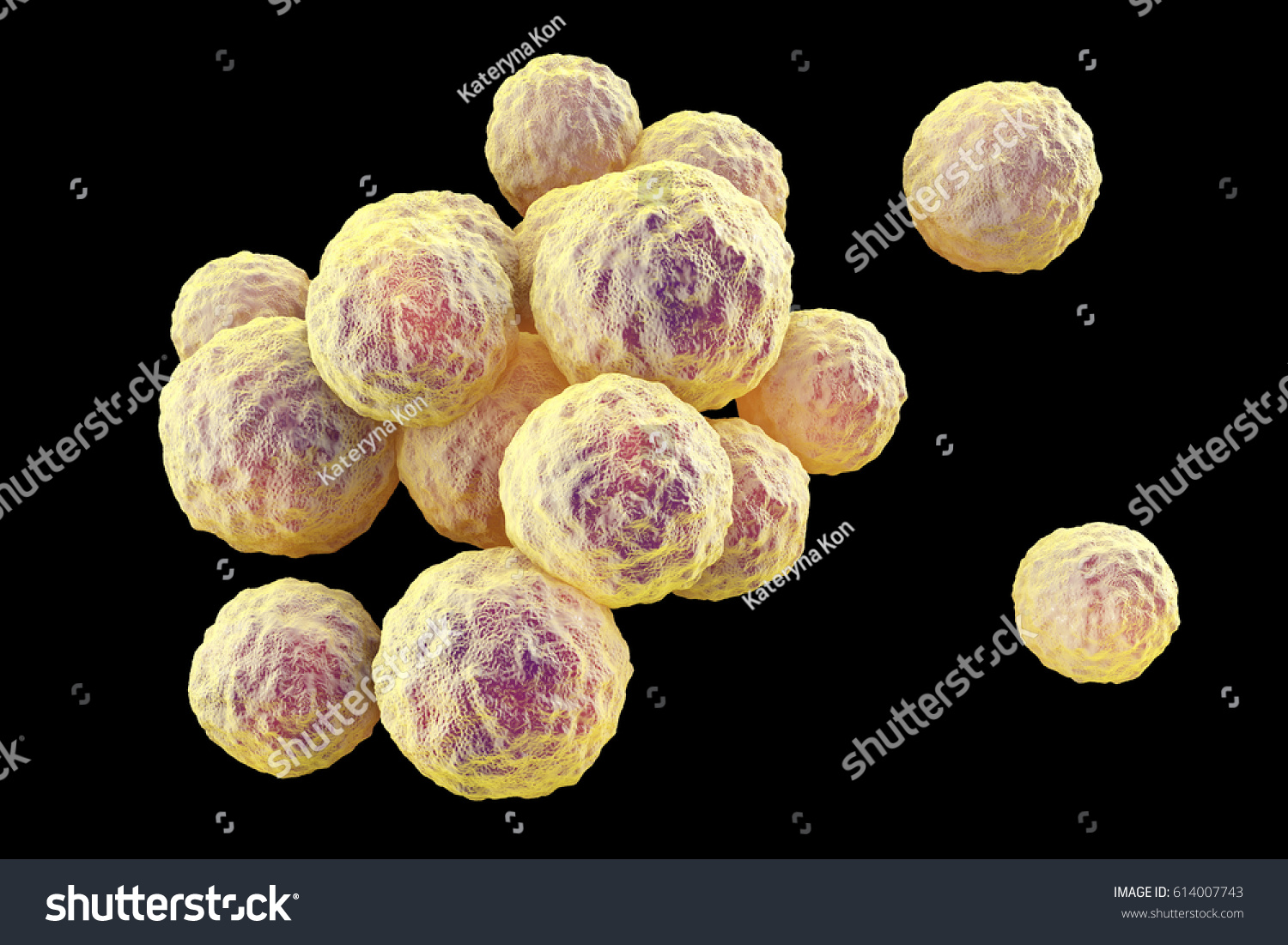 Bacteria Methicillinresistant Staphylococcus Aureus Mrsa Multidrug Ilustración De Stock 614007743 0167