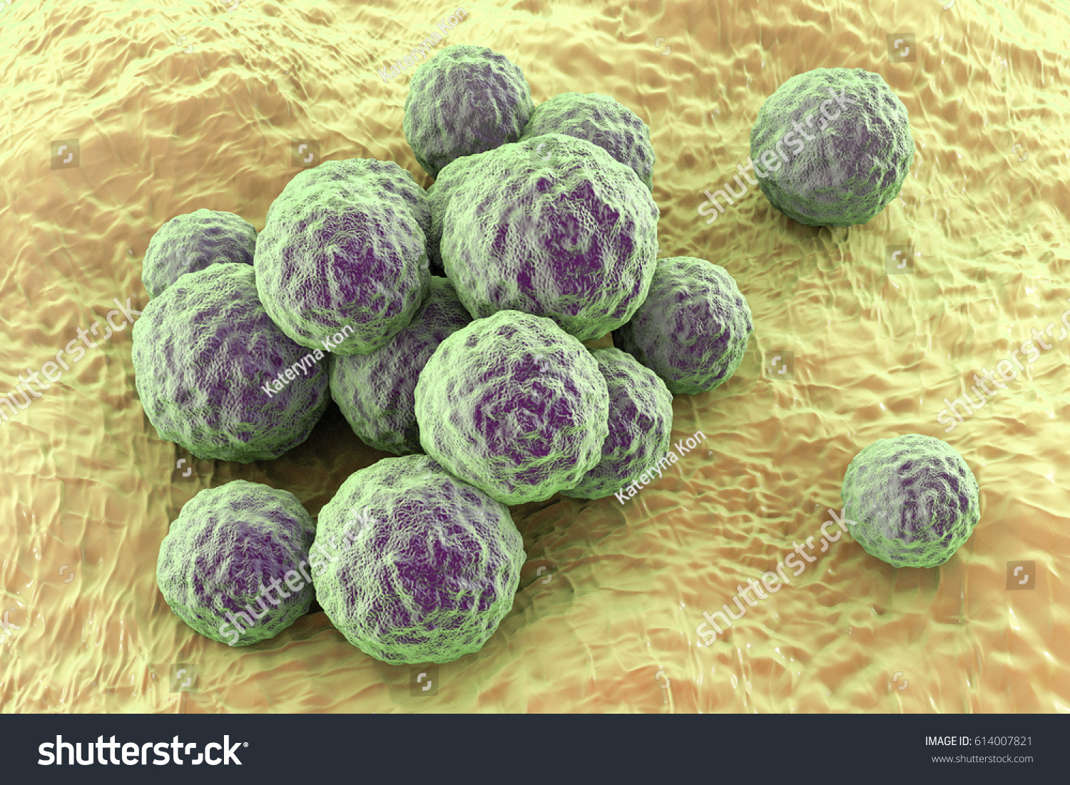 Bacteria Methicillinresistant Staphylococcus Aureus Mrsa Multidrug Stock Illustration 614007821 8516