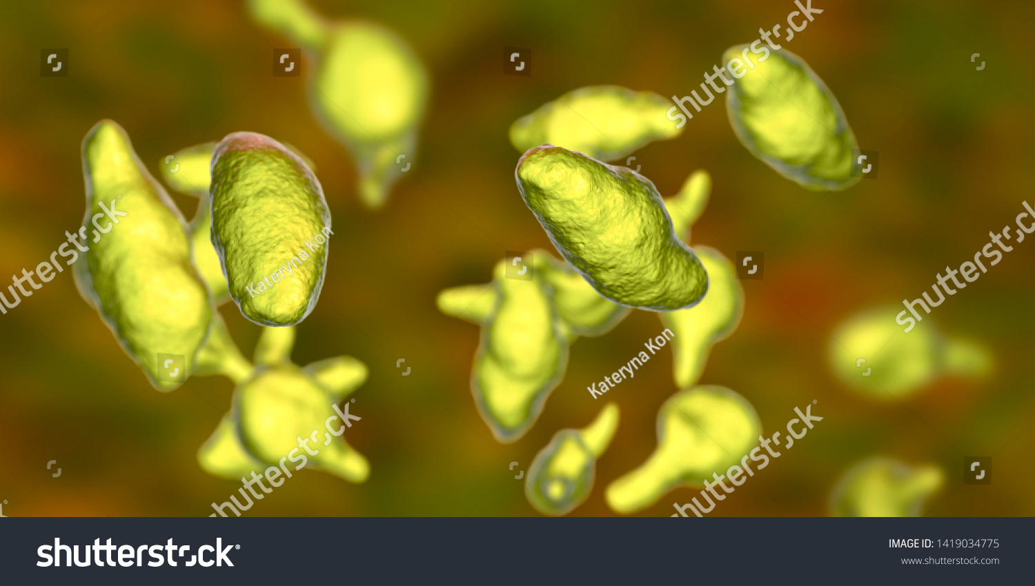 Bacteria Mycoplasma Genitalium 3d Illustration Causative Stock Illustration 1419034775