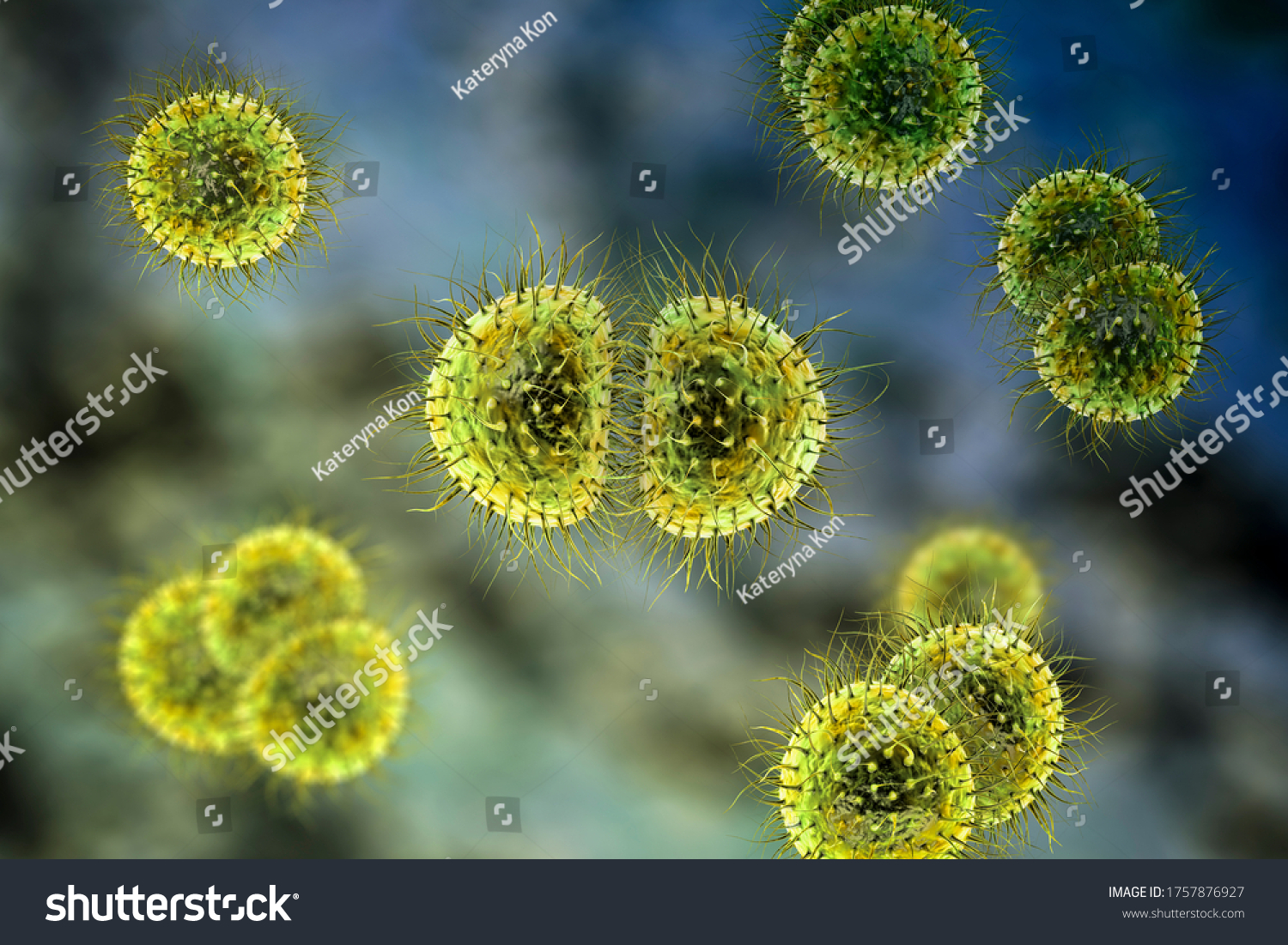 Bacteria Neisseria Meningitidis Meningococcus 3d Illustration Stock ...