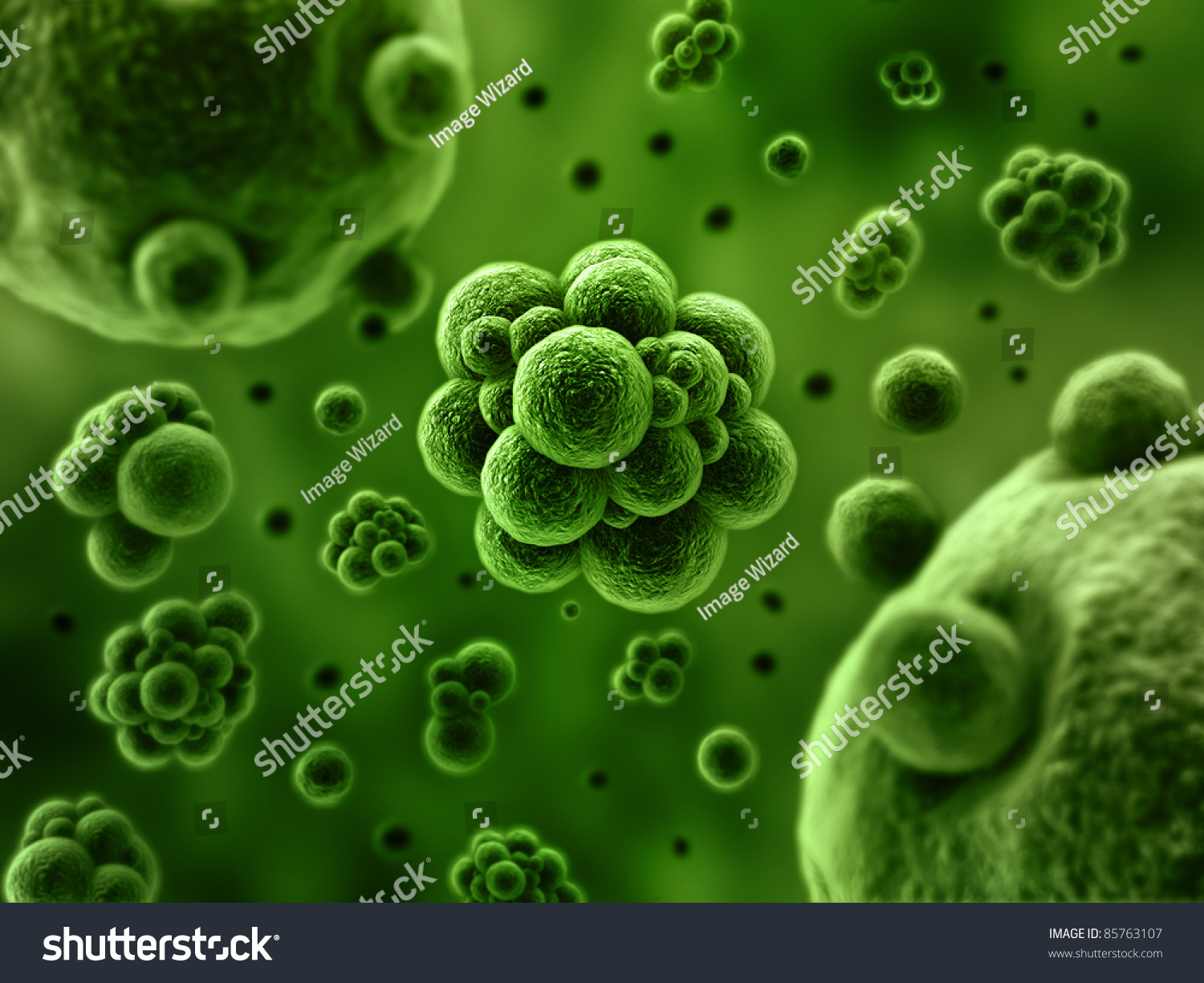 Bacteria Spheres 3d Illustration - 85763107 : Shutterstock