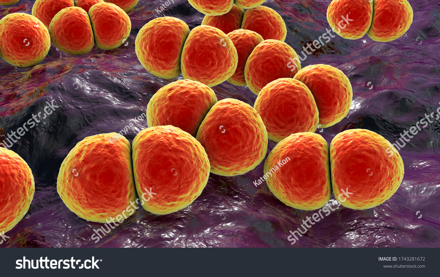 Bacteria Streptococcus Pneumoniae 3d Illustration Grampositive Stock Illustration 1743281672 4752