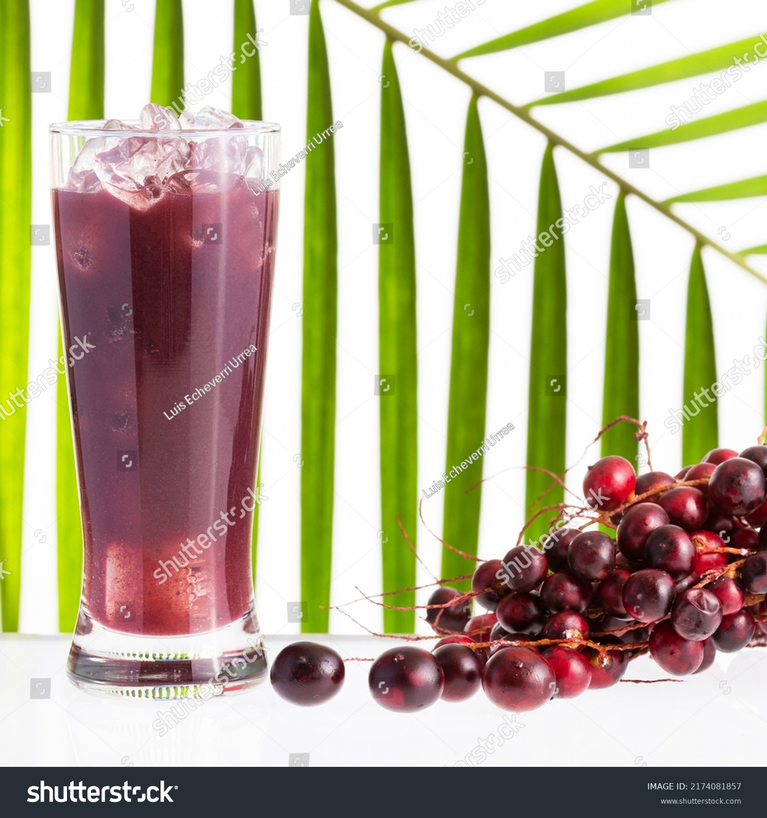 380 Corozos Images, Stock Photos & Vectors | Shutterstock