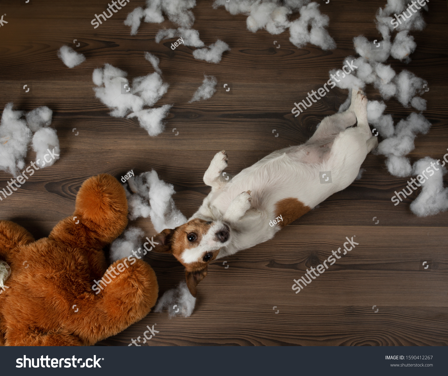 jack russell soft toy dog