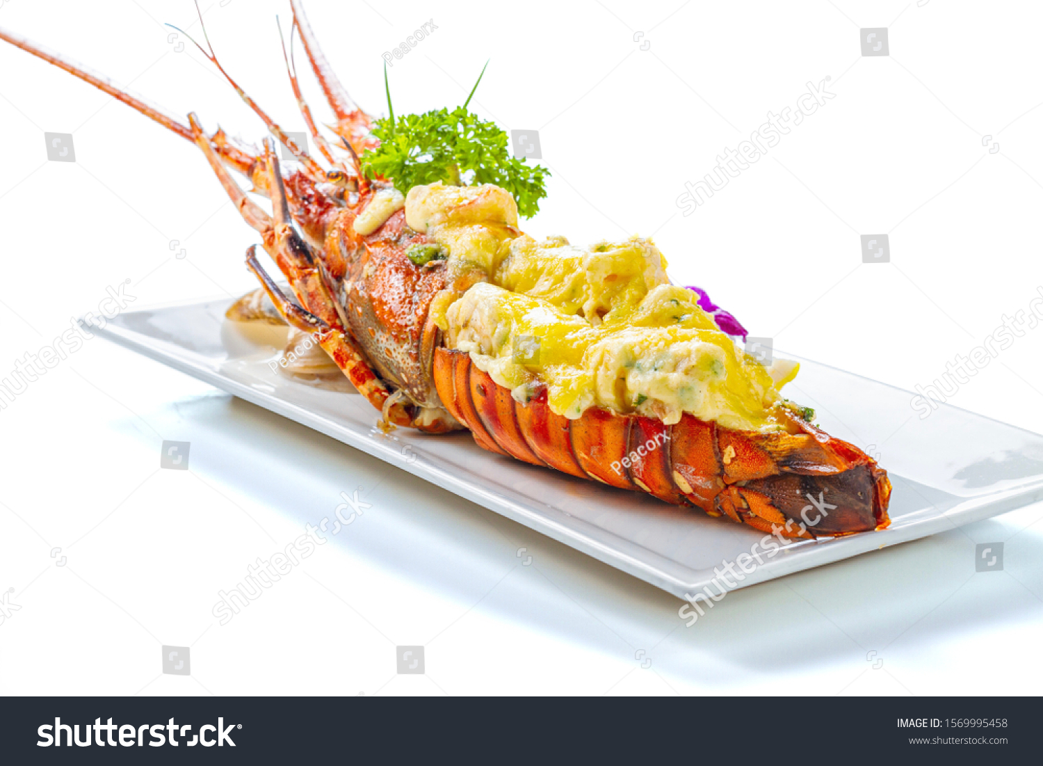 Baked Lobster Thermidor Cheese On White Stock Photo Edit Now 1569995458