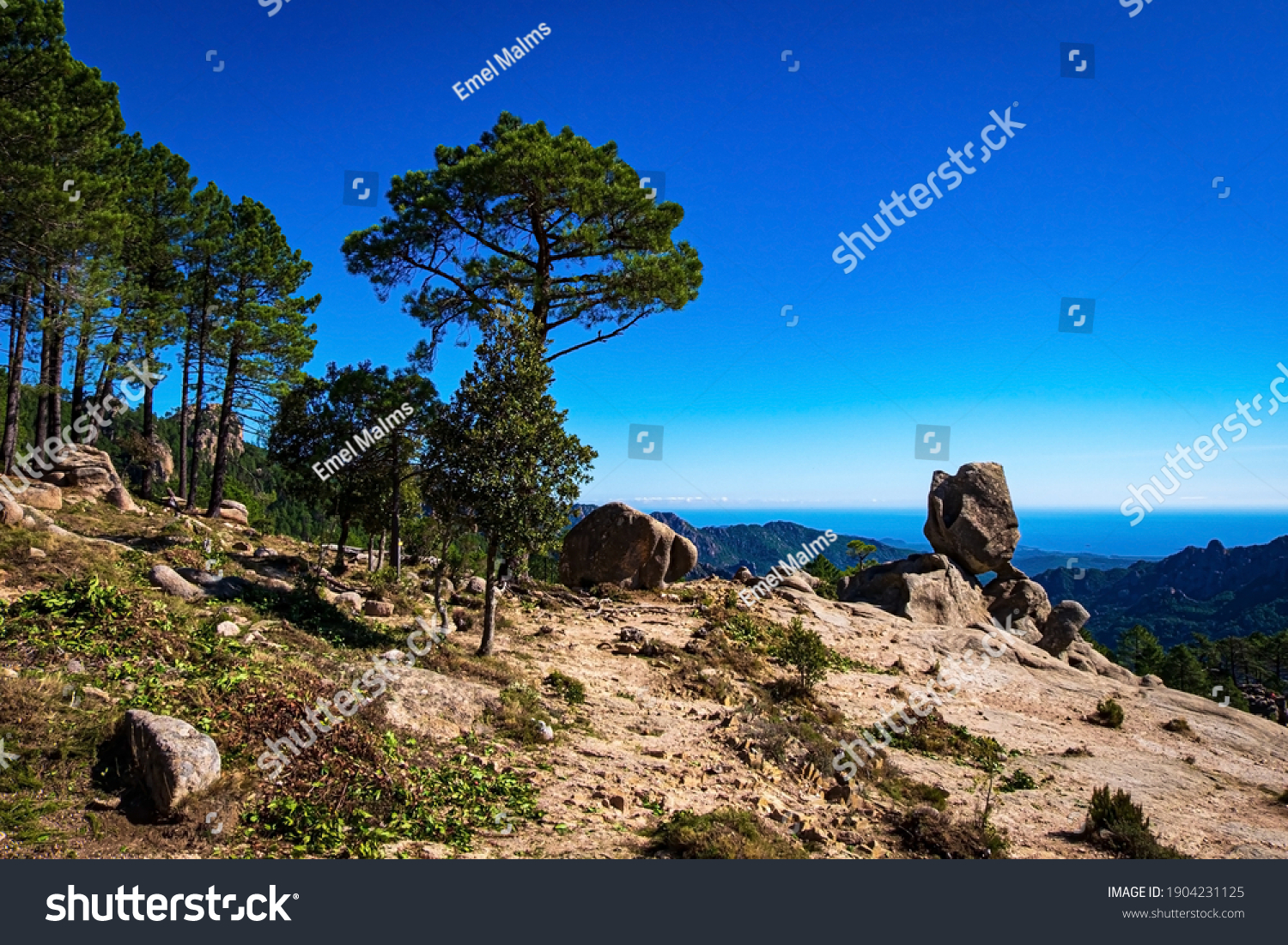 105 L Ospedale 图片 库存照片和矢量图 Shutterstock